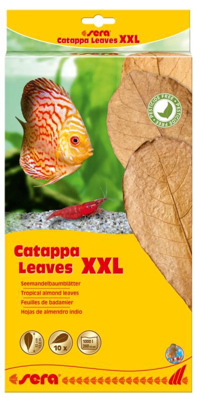Sera Catappa Leaves XXL 10 stuks, Animaux & Accessoires, Poissons | Aquariums & Accessoires, Enlèvement ou Envoi