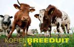 Koeien Breeduit / Breeduit 9789045311685 Peter Beemsterboer, Verzenden, Zo goed als nieuw, Peter Beemsterboer
