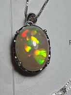 Opal met certificaat in 925 sterling zilver en zilveren, Collections