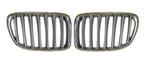 BMW X1 E84 Chromen Nieren Grill B5867