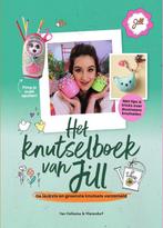 Het knutselboek van Jill / Jill 9789000383634, Boeken, Verzenden, Gelezen, Jill Schirnhofer