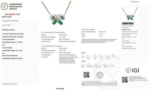 Halsketting - 14 karaat Geel goud - 1.58ct. tw. Aquamarijn -, Handtassen en Accessoires, Kettingen