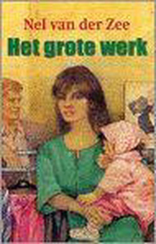 Grote werk, het 9789024218738 Nel van der Zee, Livres, Livres régionalistes & Romans régionalistes, Envoi