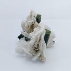 Tourmaline) Kristalcluster - Hoogte: 40.2 mm - Breedte: 53.1, Verzamelen