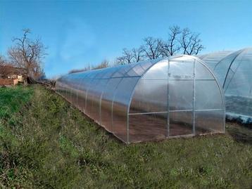Serre, tuinkas met polycarbonaat 3m*12m*2m beschikbaar voor biedingen