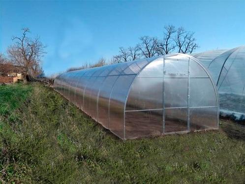 Serre, tuinkas met polycarbonaat 3m*12m*2m, Tuin en Terras, Bergingen en Tuinkasten, Overige typen, Nieuw, Metaal, Ophalen of Verzenden
