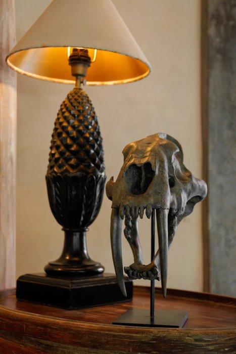 PAS DE PRIX DE RÉSERVE - Réplique de crâne de tigre à dents, Antiek en Kunst, Kunst | Designobjecten