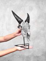 Sans prix de réserve - Crâne de chèvre gris authentique