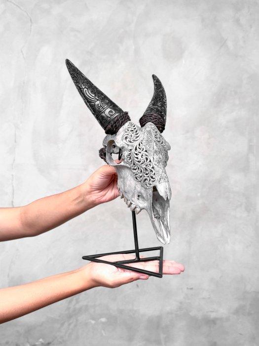 Sans prix de réserve - Crâne de chèvre gris authentique, Antiquités & Art, Art | Objets design