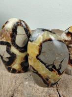 Magnifiques sculptures anciennes en septarie – argile