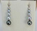 Boucles doreilles - 18 carats Or blanc - Perles Akoya 4x9mm, Nieuw