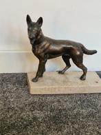 Beeld, Bronzen herders hond - 18 cm - Brons, Marmer - 1930
