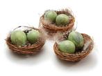 Vogelnestjes met 2 kwarteleitjes en veertjes matcha groen 7, Nieuw