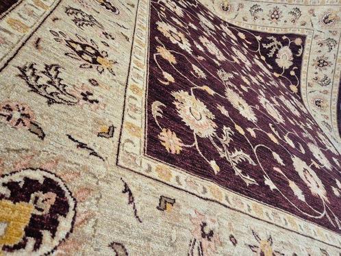 Berger magnifique (Nouveau) - Tapis - 295 cm - 245 cm, Huis en Inrichting, Stoffering | Tapijten en Vloerkleden