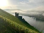 2003 Weingut Kunstler, Hochheimer Holle Riesling - Rheingau, Nieuw