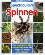 Spectaculaire spinnen / Wolkjesreeks / 13 9789037456462, Verzenden, Gelezen, T. van Eerbeek