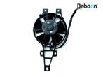 Koelfan Motor Gilera Runner 125 VX 2005-2006 4T M46100, Motoren, Gebruikt