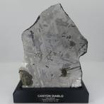 Canyon Diablo meteorite Tranche - Hauteur : 18 cm - Largeur