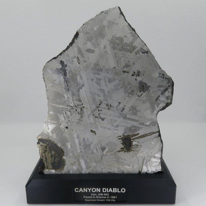 Canyon Diablo meteorite Tranche - Hauteur : 18 cm - Largeur, Verzamelen, Mineralen en Fossielen
