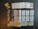 2025 Panini - 1 Empty album + complete loose sticker set -, Verzamelen, Nieuw