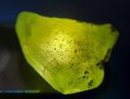 32,2 ct - POKER GEMS - Natuurlijke Smaragd, Robijn, Saffier,