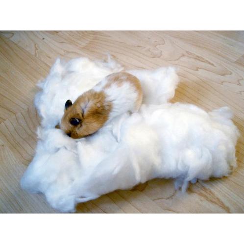 Coton pour petit rongeur 30g, blanc - kerbl, Dieren en Toebehoren, Knaagdieren en Konijnen | Toebehoren