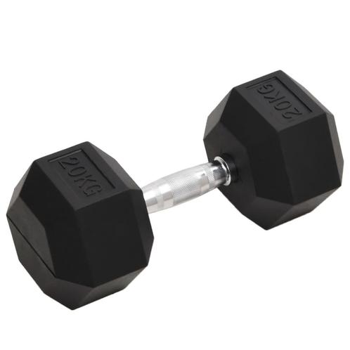 vidaXL Haltère 20 kg Fonte, Sport en Fitness, Fitnessmaterialen, Verzenden
