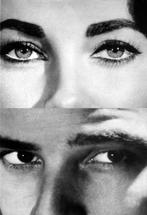 ICONS OF THE 20TH CENTURY 9783829014175 BARBARA CADY, Verzenden, BARBARA CADY