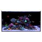 Waterbox ALL-IN-ONE 50.3 (los aquarium), Verzenden, Nieuw