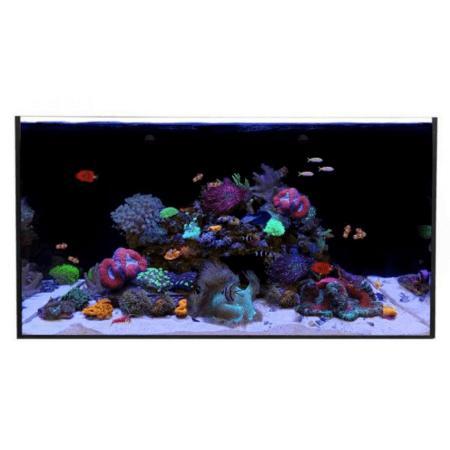 Waterbox ALL-IN-ONE 50.3 (los aquarium), Dieren en Toebehoren, Vissen | Aquaria en Toebehoren, Verzenden