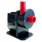 Red Dragon 8000, Dieren en Toebehoren, Vissen | Aquariumvissen