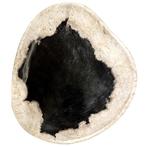 NO RESERVE! - Schaal - fossiel hout - versteend houten, Antiek en Kunst