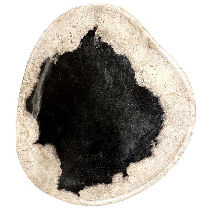 NO RESERVE! - Schaal - fossiel hout - versteend houten, Antiek en Kunst, Kunst | Niet-Westerse kunst