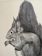 Franse school (XIX) - Lécureuil