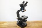 Binocular compound microscope - M20 - 1960-1970 - Suisse -