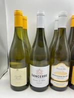 2x 2023 Pouilly-Fumé, 2x 2023 Sancerre, 2x 2023 Sauvignon, Nieuw