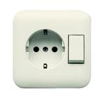 ABB Busch-Jaeger SI Gecombineerde Schakelaar Stopcontact, Doe-het-zelf en Bouw, Elektriciteit en Kabels, Verzenden, Nieuw