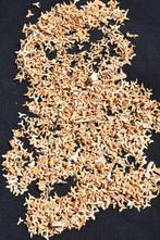 Grote ophoping van fossiele haaientanden - Fossiele tanden -, Verzamelen, Mineralen en Fossielen