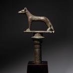 Oud-Egyptisch Brons God Wepwawet - Upuaut scepter terminal., Verzamelen