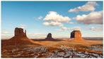 Roberto Cavalli - America! Highway View  #807 - XXL