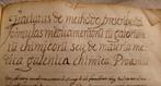 Desconocido - Libro manuscrito de medicina (Materia medica, Antiek en Kunst