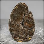 Zeer decoratieve natuurlijke septarien. Geode- 2036.66 g