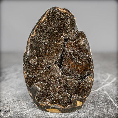 Zeer decoratieve natuurlijke septarien. Geode- 2036.66 g, Verzamelen, Mineralen en Fossielen