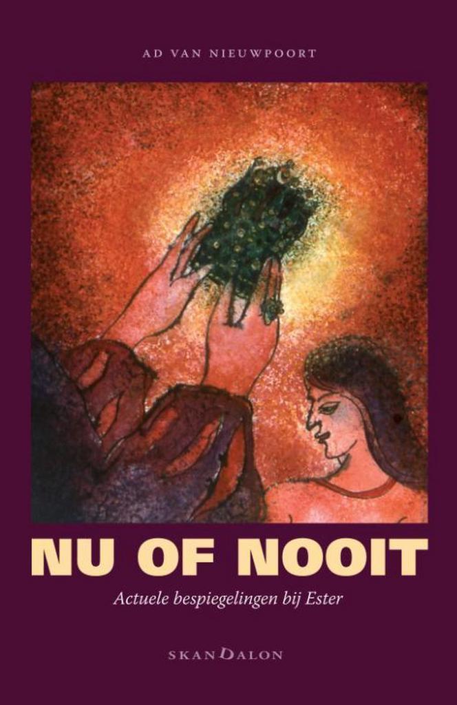 Nu of nooit 9789492183620 Ad van Nieuwpoort, Boeken, Godsdienst en Theologie, Gelezen, Verzenden