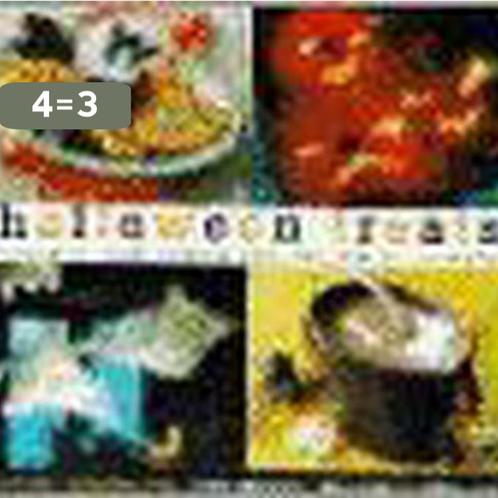 Halloween Treats 9780811821971 Donna Maggipinto, Boeken, Taal | Engels, Zo goed als nieuw, Verzenden