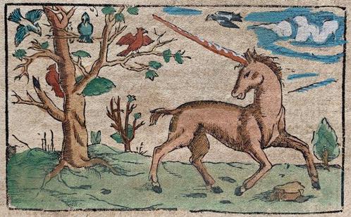 Sebastian Münster - Cosmographia - 1590, Antiek en Kunst, Antiek | Boeken en Manuscripten