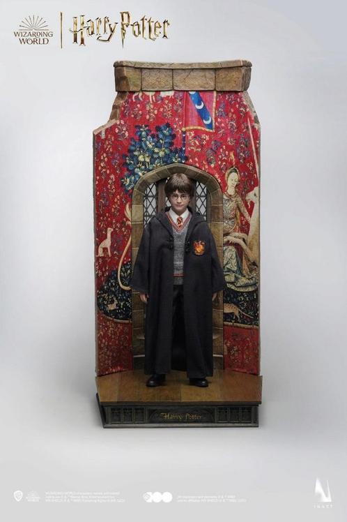 Harry Potter and the Sorcerer Stone Action Figure 1/6 Harry, Verzamelen, Harry Potter, Ophalen of Verzenden