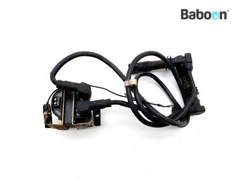 Bobine BMW R 1100 R (R1100R 94), Motoren, Onderdelen | BMW, Gebruikt, Verzenden