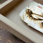 fabio imperiale - in questo spazio esteso