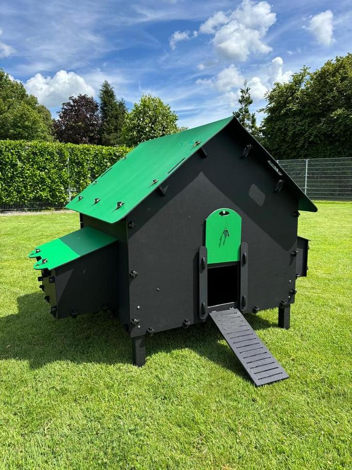 Pluverdi kippenhok Brussels (12-24 kippen), Dieren en Toebehoren, Pluimvee | Toebehoren